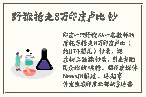 无码国产日韩精品一区二区