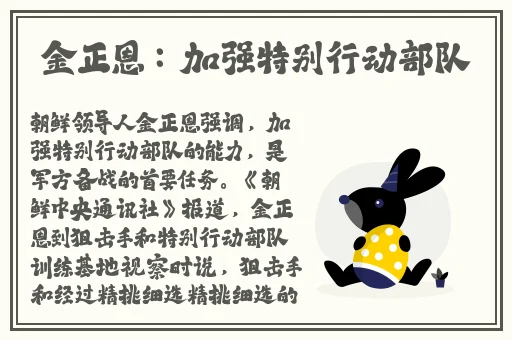 HD2中国成熟i